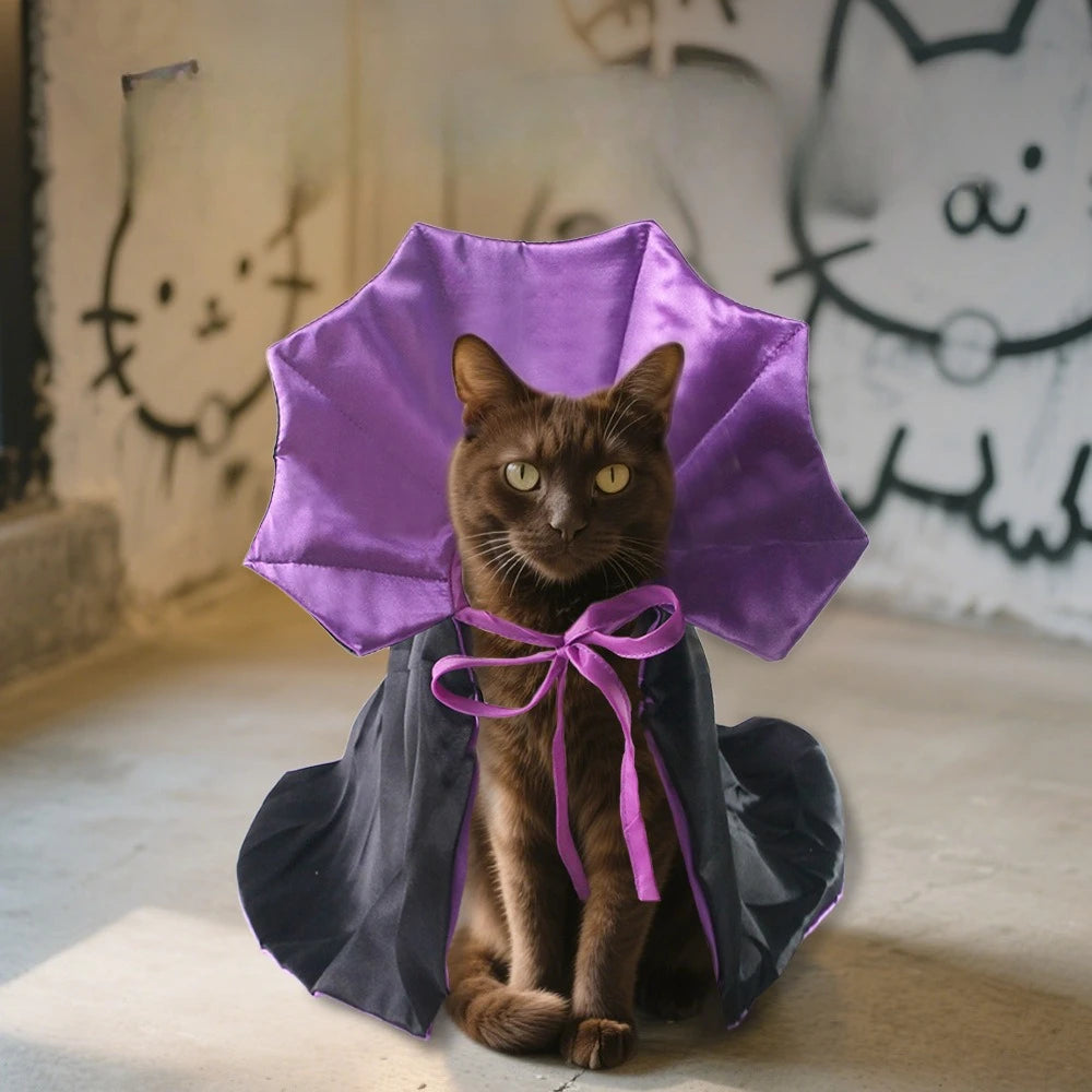 Halloween Vampire Costume for Dogs & Cats   Copy